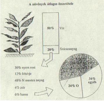 A növények Kálium tartalma